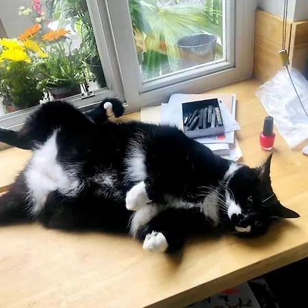 Agelandkaai Appartement Gent