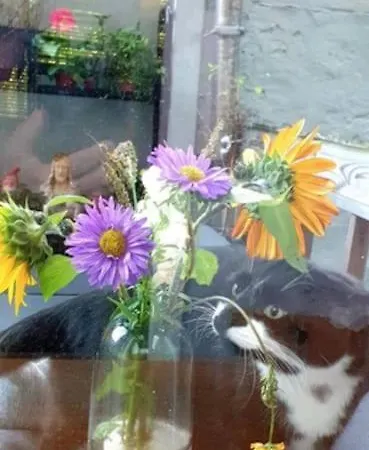 아파트 Agelandkaai 헨트