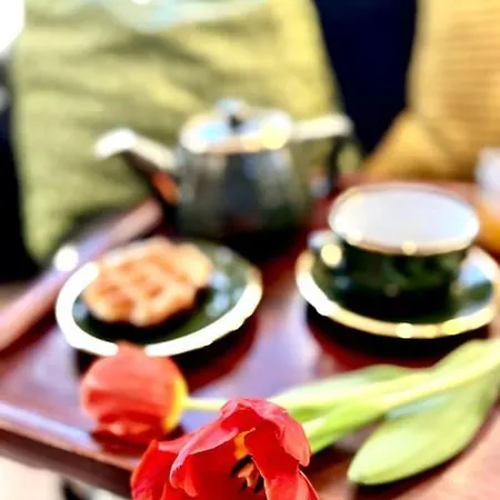 Agelandkaai 아파트 헨트