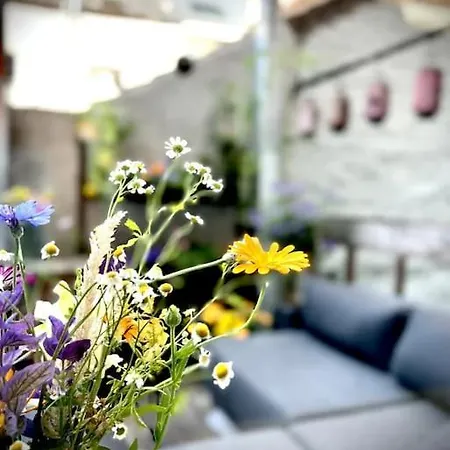 Apartment Agelandkaai Ghent