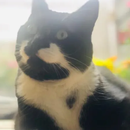 Apartment Agelandkaai *