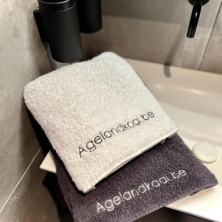 Agelandkaai Gent