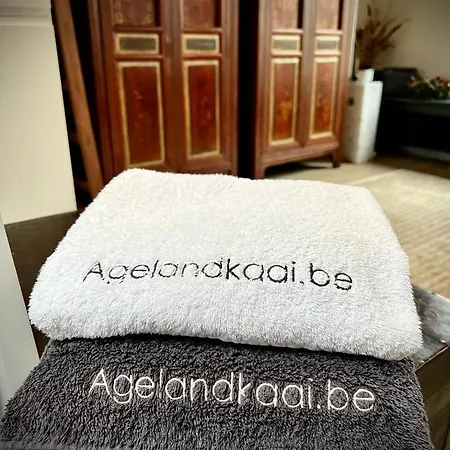 Apartment Agelandkaai