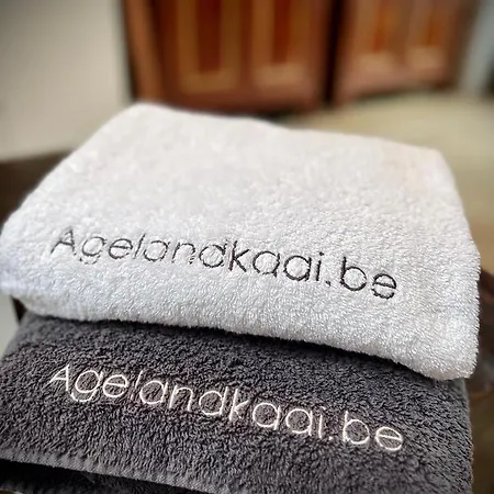 Agelandkaai Apartment Ghent