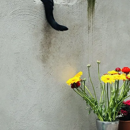 아파트 Agelandkaai 헨트