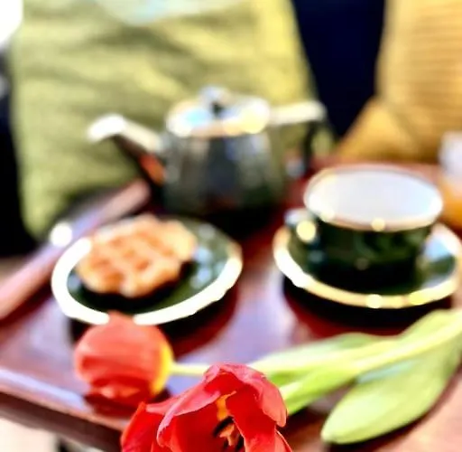 Agelandkaai 아파트 헨트