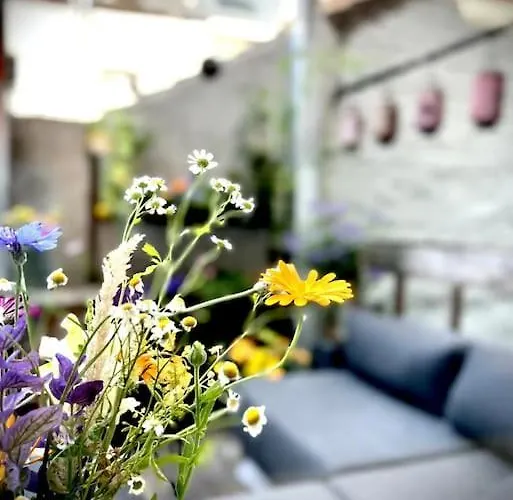 아파트 Agelandkaai 헨트