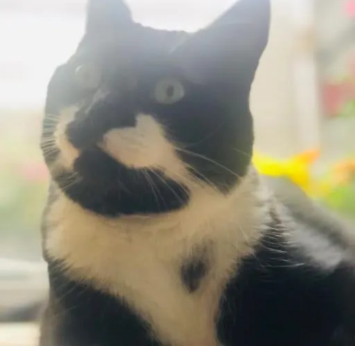 아파트 Agelandkaai *